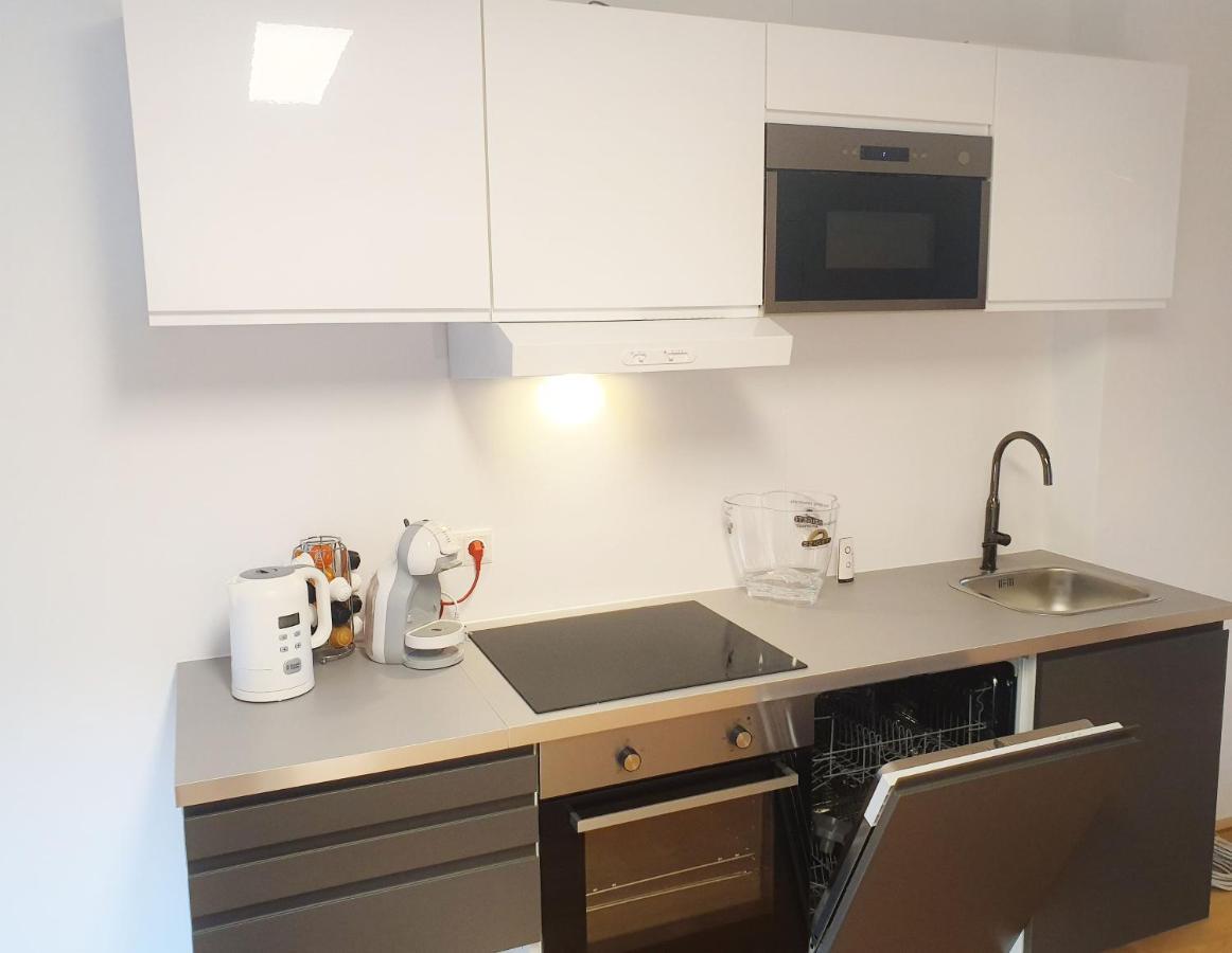 Rooftop Terrace, Free Garage Parking And Pool! Відень Екстер'єр фото